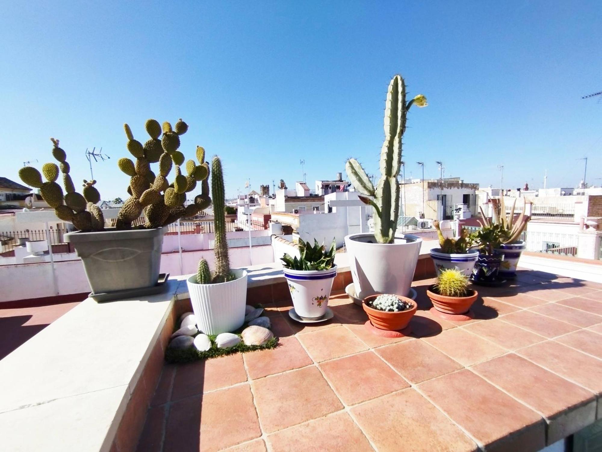 Casa Gavidia - Duplex With Panoramic View Apartment Seville Ngoại thất bức ảnh